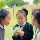 이본유치원 이미지