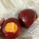 버스정류장 07-073 | [북아메리카] 토론토 대학교 ELP 여름 계절학기 단기 연수 (1주차)