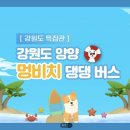 (주)멍비치 이미지