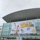 우수체육관 | 도경수 콘서트 2025 Do it 고려대학교 화정체육관 후기