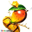 애플망고디자인 이미지