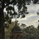 [호주여행🇦🇺] 시드니/6일차/시드니성당/보타닉가든/맥퀄리포인트/블루마운틴투어/아사이볼