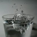 용율 Daum카페