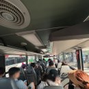 제주도 싸게 렌트하기 카모아 조아렌트카 아반떼 내돈내산 후기 블랙박스 주의