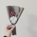 예사랑유치원·어린이집 네이버블로그