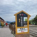 묘천농장 | 곡성 섬진강 기차마을 축제 입장료 놀이기구 주차장 장날후기