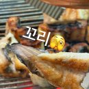 장수민물장어 이미지