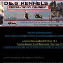 하나켄넬 이미지