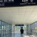 주말 광안리 나들이1 - 궁금했던 브런치 카페 &lt; 플렌터 &gt;+ 좋아하는 베이커리 &lt; 무슈뱅상 &gt;