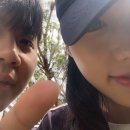 아폴로99 | honeymoon in Australia 3탄 🍯💗🦘 | 호주 멜버른 신혼여행 후기 🇦🇺