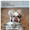 개털깎는남자 이미지