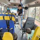 8월 26일(화) - 안전벨트를 스스로 조작해요🚍 / 교통 표지판을 알아요🛑 이미지