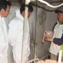 축진농장 이미지