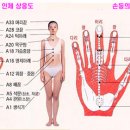 고려수지침 Daum카페