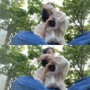 훈이농장 | 4월 조각 일상들