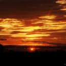 풀밭나라 이미지