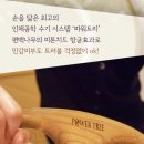 비엘다이어트