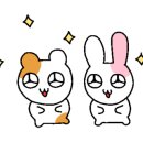 제이제이코스메틱 이미지