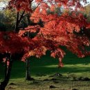 임강건설 이미지