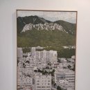 2025 서울 아트페어 화랑미술제 삼성역 코엑스 전시회 일정 전시정보 드로잉 아크릴화 미술시장 전시회후기