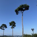 감나무골가든 이미지