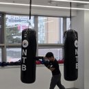 국가대표 복싱센터 세종점 이미지