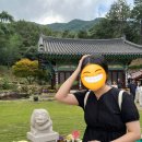 웅석봉로 | 경남 산청 여행) 어느 계절에 가도 좋은 조용한 수선사, 근처 약초식당 맛집 추천