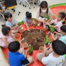 창원단감테마공원 국제뉴스