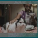 안개 농촌체험 휴양마을 이미지