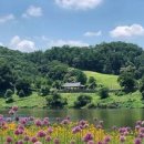 충남 가볼만한곳 공주 여행 공주 미르섬 이미지