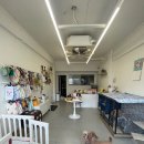 몽구리DOG 이미지