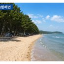 솔밭관광횟집