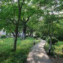 사람과나무 이미지