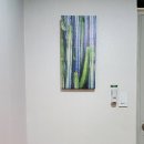 스테이다정 이미지