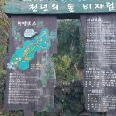 비자림H 이미지