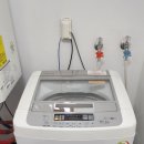 아지파파 이미지