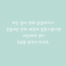 반짝이는하루 이미지