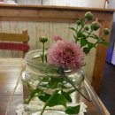 치악산약국 이미지