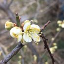 백산상회