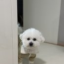 거두분식 이미지