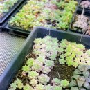 지양농장 이미지