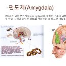 수험생을 위한 마음챙김 명상 네이버블로그