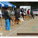 화수초등학교 이미지