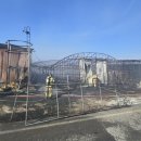 오리농장 이미지