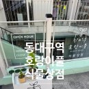부처샵 | [동대구] 동대구역 근처 식물샵 / 호랑이풀/ 부처 콩란/ 초보 식집사 화분구매 후기 ~ ♥