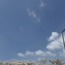 이촌부대찌개 | 서빙고맛집 부대찌개 추천 스탠다드 원다이너 순두부 부대찌개 솔직후기