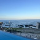 태화펜션 | 추석여행 포항 테스 226 펜션 1박 2일 행복 후기