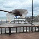 성산1길 이미지