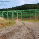 신풍리-1 이미지