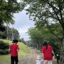 제주오케이렌터카 이미지